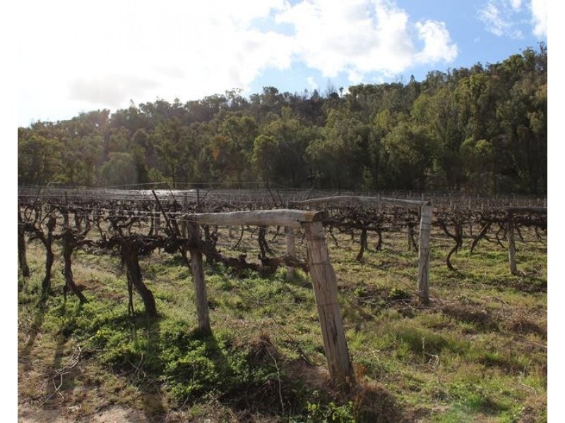 198 Days Road, Ballandean QLD 4382