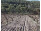 198 Days Road, Ballandean QLD 4382