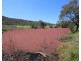 198 Days Road, Ballandean QLD 4382