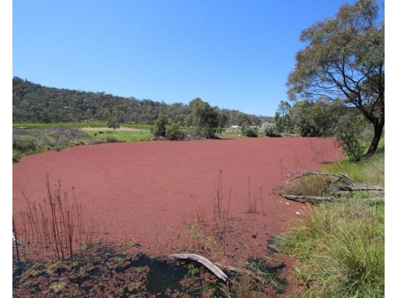 198 Days Road, Ballandean QLD 4382