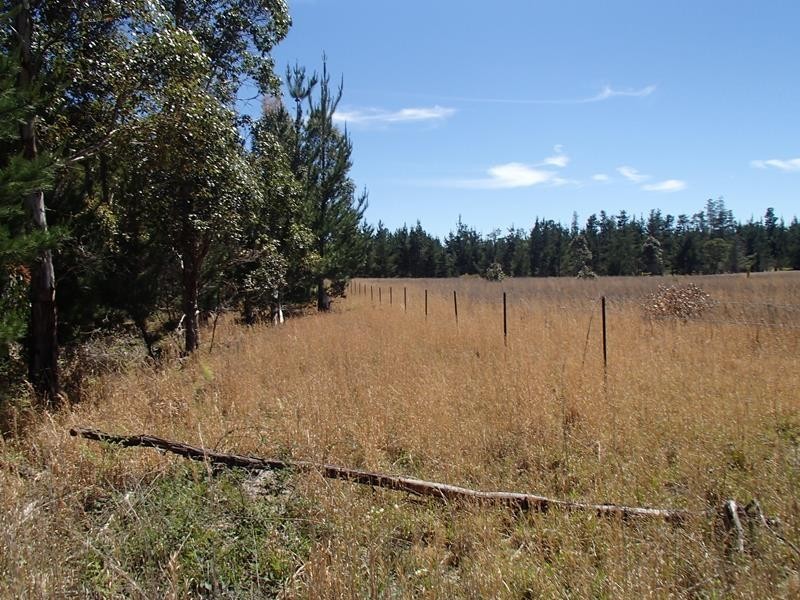 215 Central Road, Stanthorpe QLD 4380