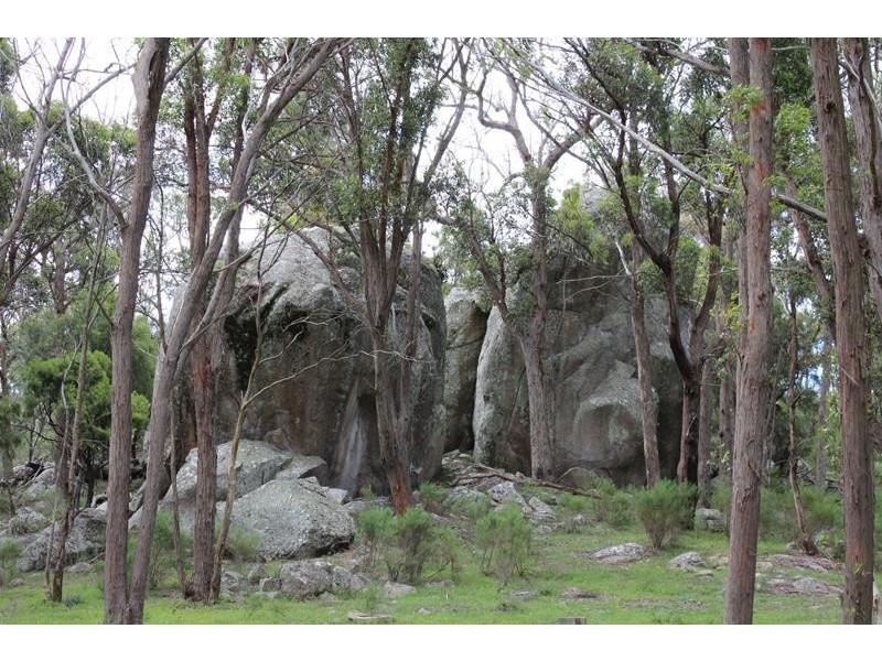 1377 Eukey Road, Stanthorpe QLD 4380