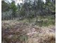 110 Donnellys Castle Road, Thulimbah QLD 4376