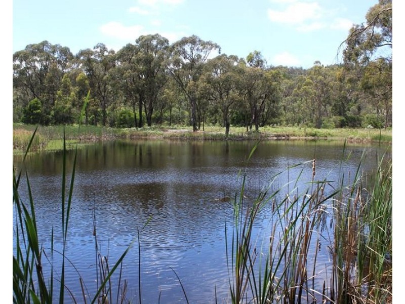 110 Donnellys Castle Road, Thulimbah QLD 4376