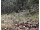 110 Donnellys Castle Road, Thulimbah QLD 4376