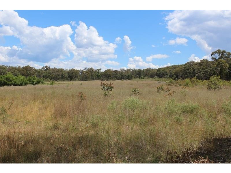 Lot 1 Sugarloaf Road, Stanthorpe QLD 4380