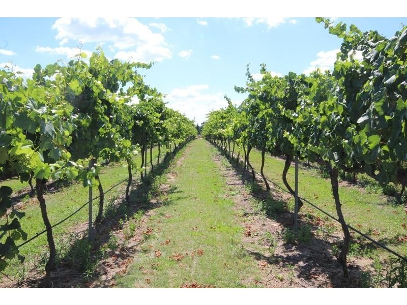 747 Granite Belt Drive, Cottonvale QLD 4375