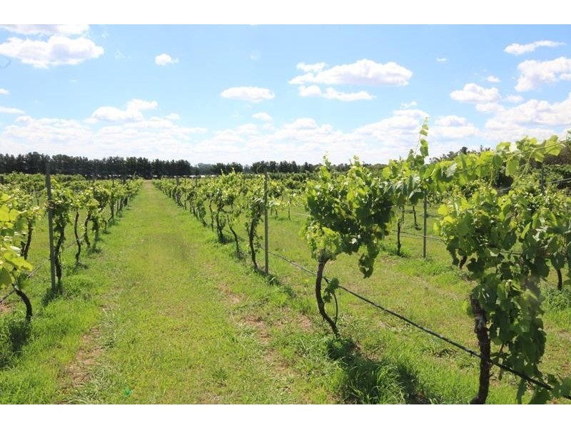 747 Granite Belt Drive, Cottonvale QLD 4375