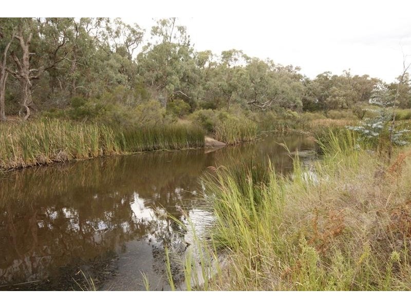 666 Sugarloaf Road, Stanthorpe QLD 4380