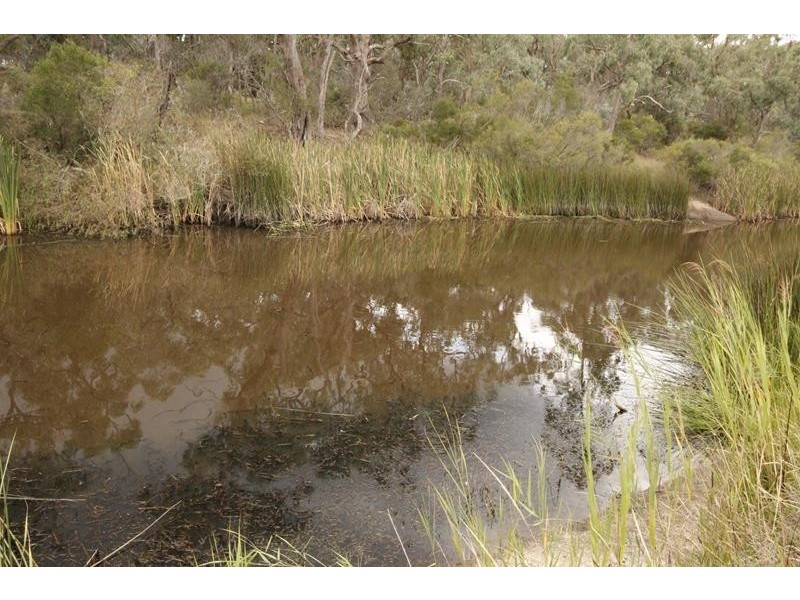 666 Sugarloaf Road, Stanthorpe QLD 4380