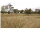 666 Sugarloaf Road, Stanthorpe QLD 4380