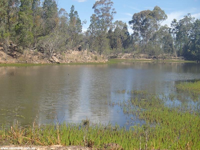 135 Winkler Road, Glen Aplin QLD 4381