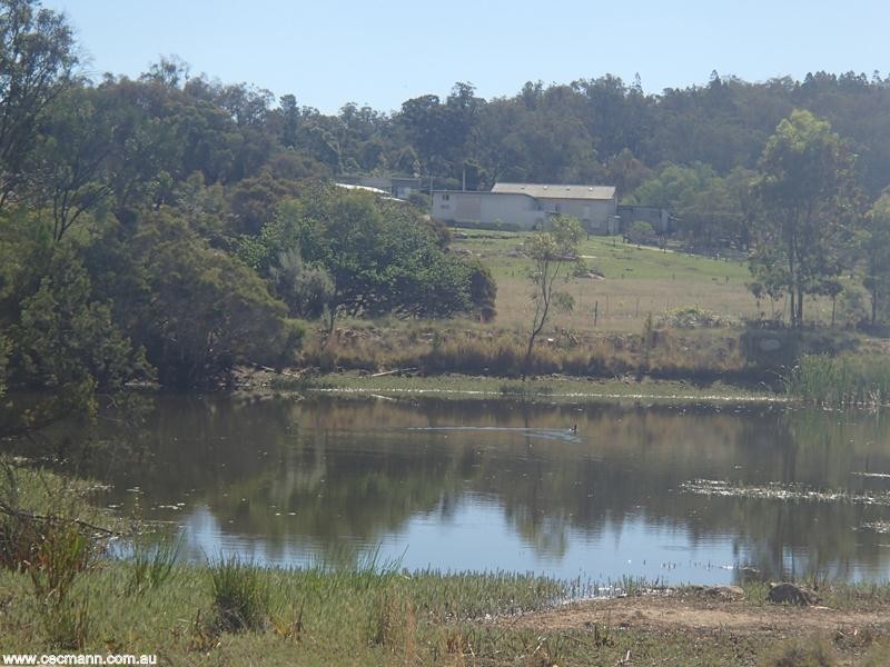 135 Winkler Road, Glen Aplin QLD 4381