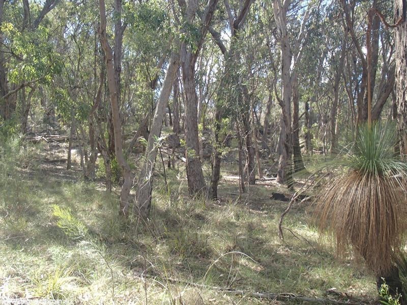 135 Winkler Road, Glen Aplin QLD 4381