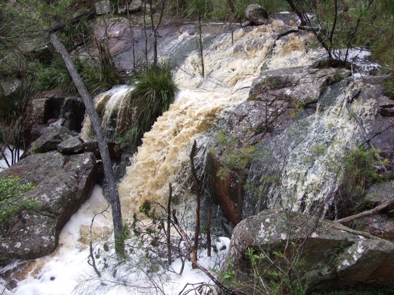 135 Winkler Road, Glen Aplin QLD 4381