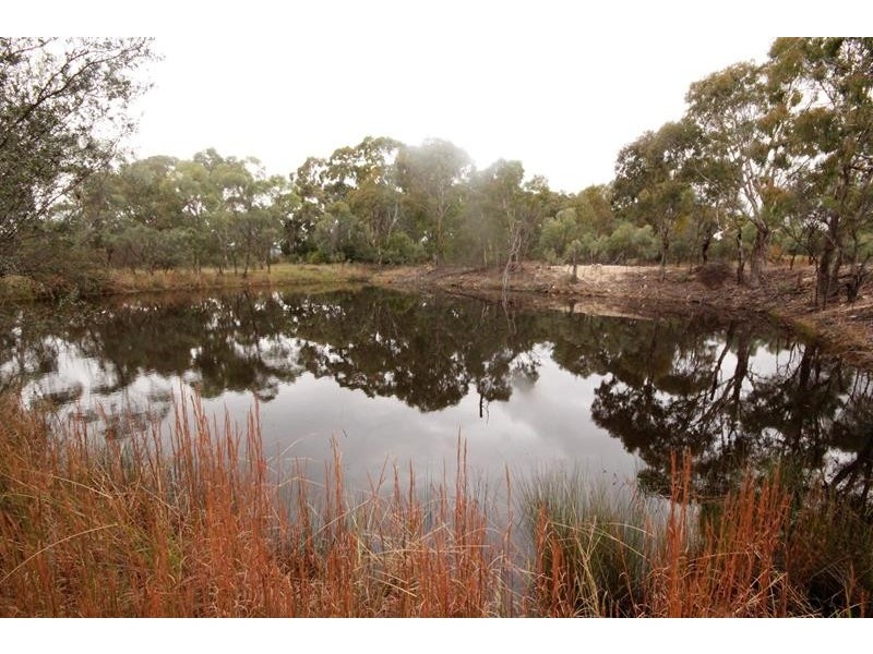 230 Marino Road, Broadwater QLD 4380