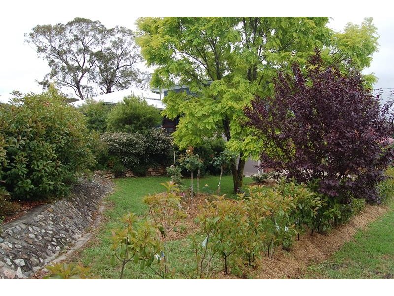 24 Ryan Street, Stanthorpe QLD 4380