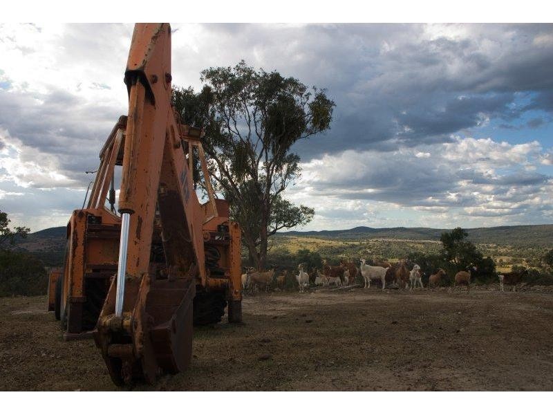 211 Magnoli Lane, Greenlands QLD 4380