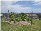 211 Magnoli Lane, Greenlands QLD 4380