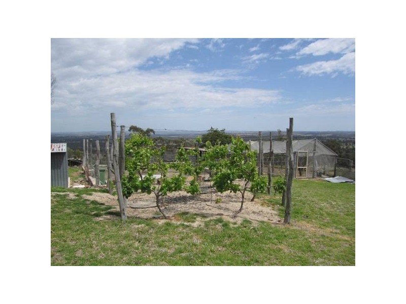 211 Magnoli Lane, Greenlands QLD 4380