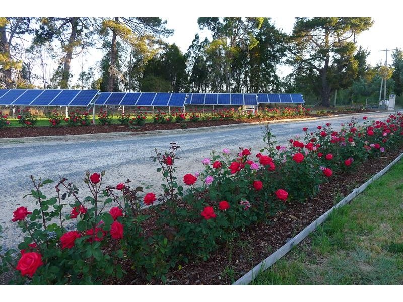 679 Thorndale Road, Stanthorpe QLD 4380