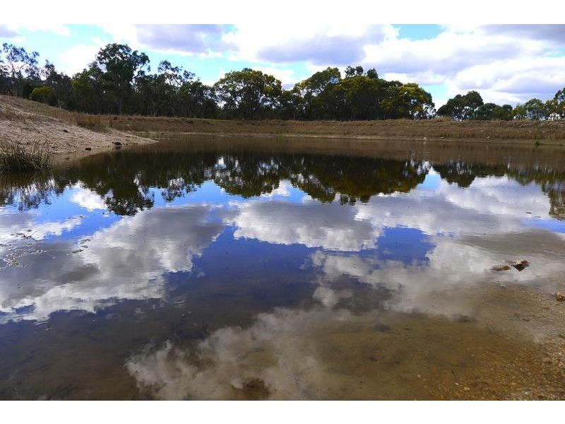 679 Thorndale Road, Stanthorpe QLD 4380