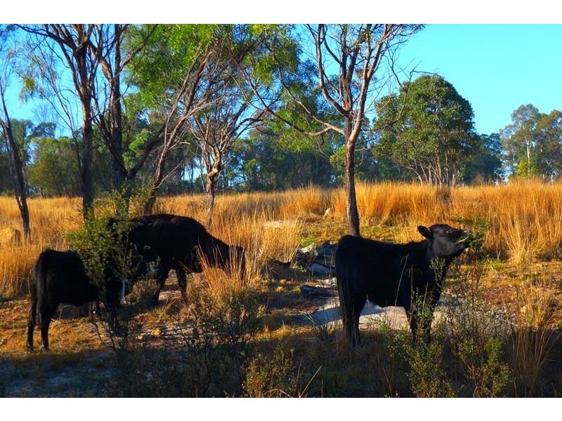 679 Thorndale Road, Stanthorpe QLD 4380