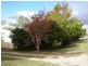 Stanthorpe QLD 4380