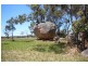 272 McKechnie Road, Liston NSW 2372