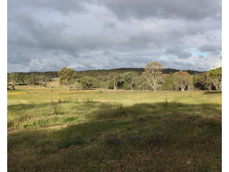 96 Browns Lane, Greenlands QLD 4380