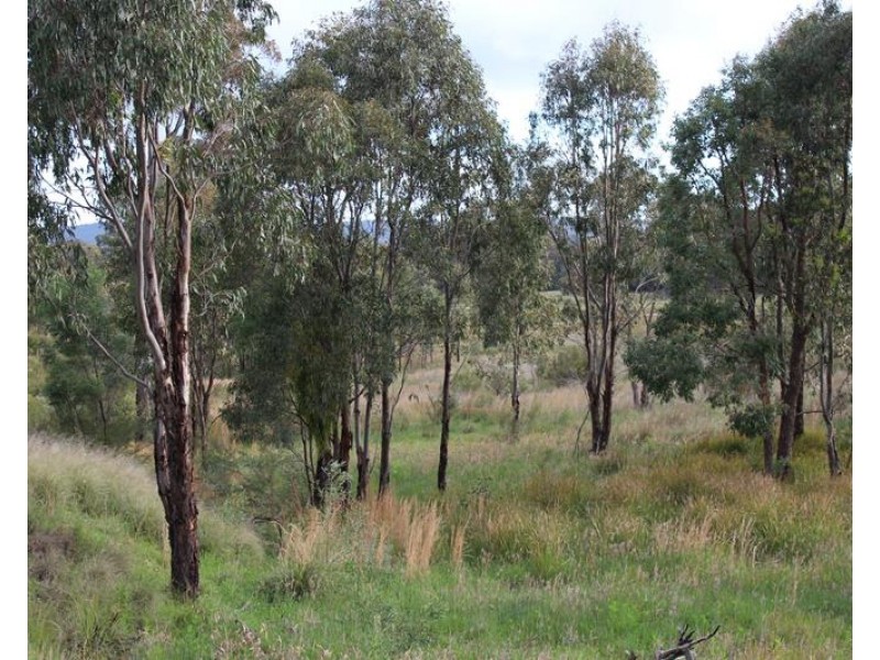 96 Browns Lane, Greenlands QLD 4380