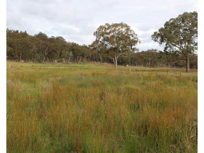 96 Browns Lane, Greenlands QLD 4380