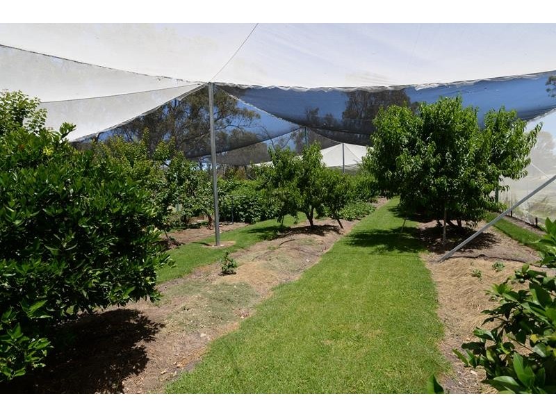 1047 Granite Belt Drive, Dalveen QLD 4374