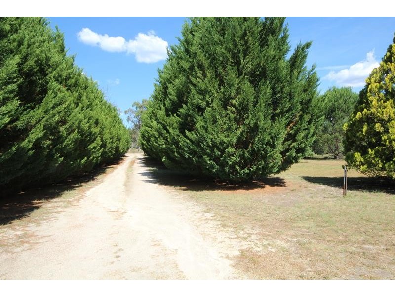 109 Plant Lane, Applethorpe QLD 4378