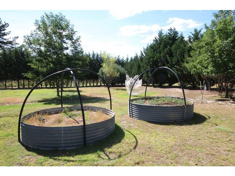 109 Plant Lane, Applethorpe QLD 4378