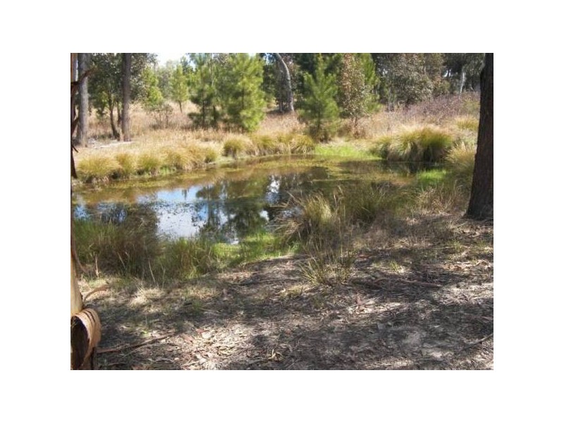 34 Cosmo LANE, Cottonvale QLD 4375