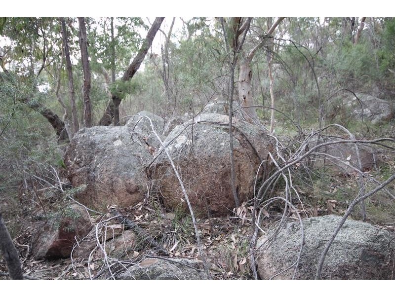 313 Watters Road, Ballandean QLD 4382