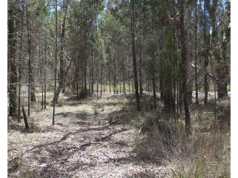 140 Jones Road, Severnlea QLD 4380