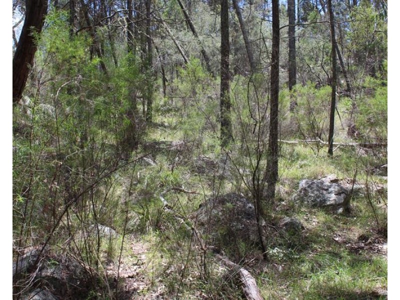 140 Jones Road, Severnlea QLD 4380