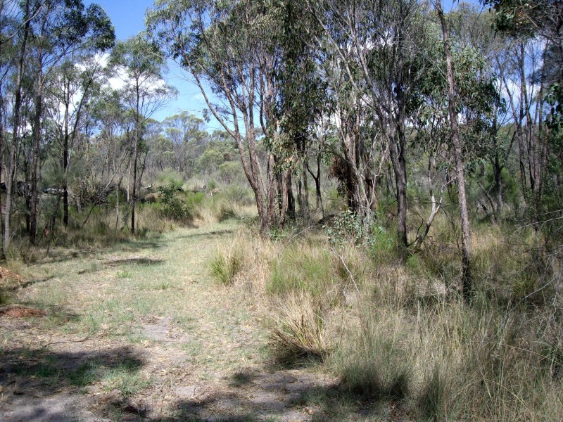 117 Mengel Road, Amiens QLD 4380