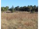Lot 147 Watson Road, Cottonvale QLD 4375