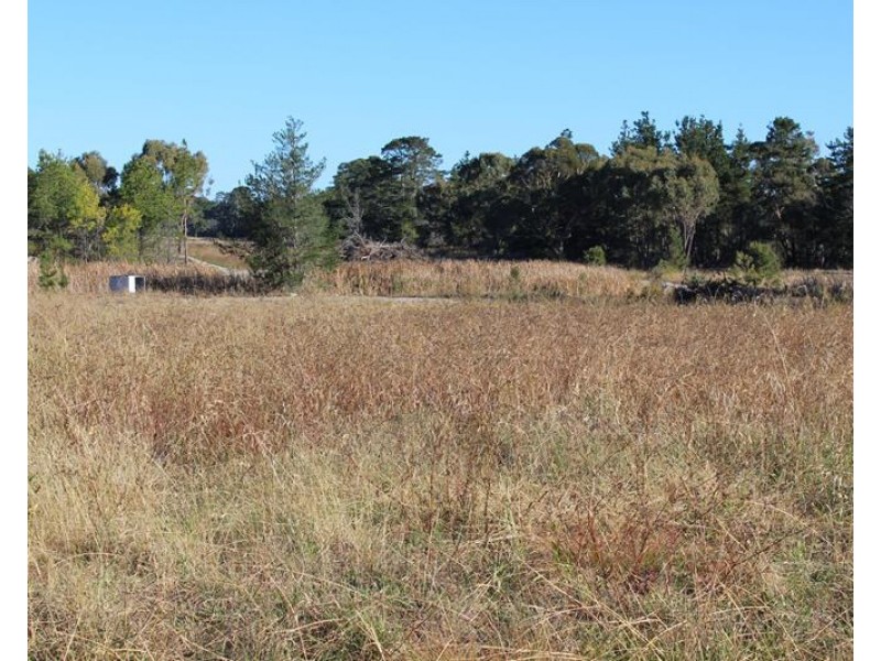 Lot 147 Watson Road, Cottonvale QLD 4375