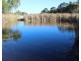 Lot 147 Watson Road, Cottonvale QLD 4375