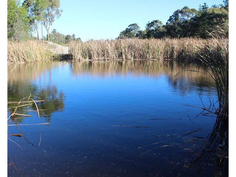 Lot 147 Watson Road, Cottonvale QLD 4375