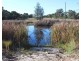 Lot 147 Watson Road, Cottonvale QLD 4375