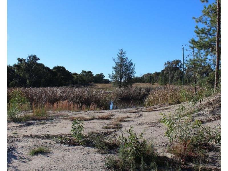 Lot 147 Watson Road, Cottonvale QLD 4375