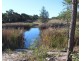 Lot 147 Watson Road, Cottonvale QLD 4375