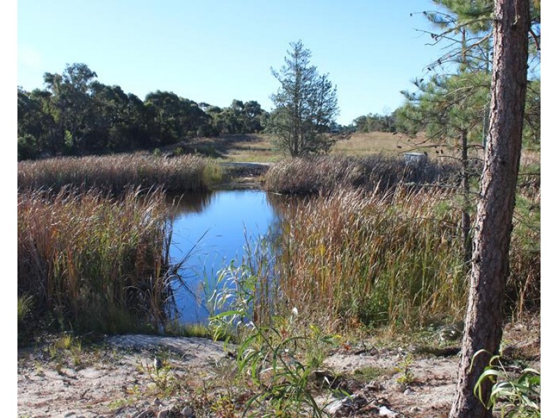 Lot 147 Watson Road, Cottonvale QLD 4375