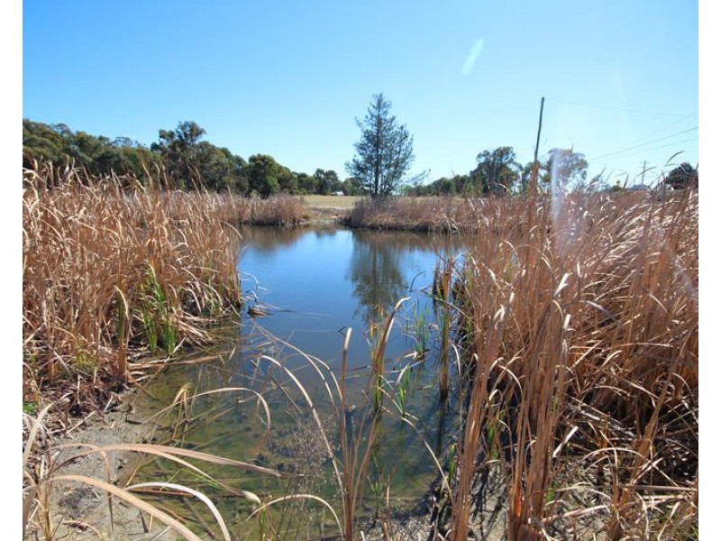 Lot 147 Watson Road, Cottonvale QLD 4375