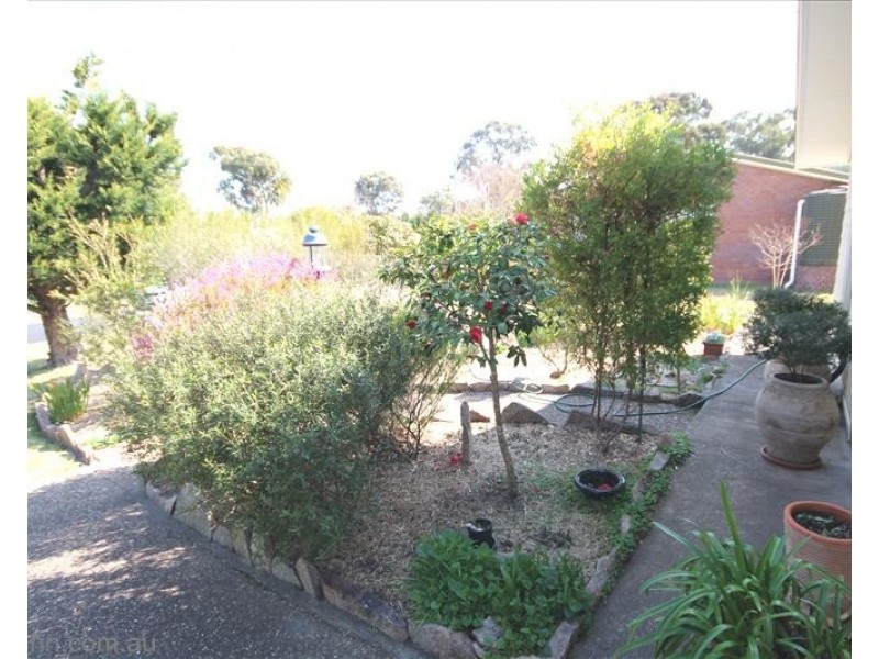 50 Hoult Street, Stanthorpe QLD 4380